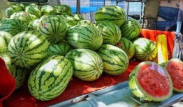 西宁网红吃瓜事件真相是真的吗,真相揭秘，还原事件始末